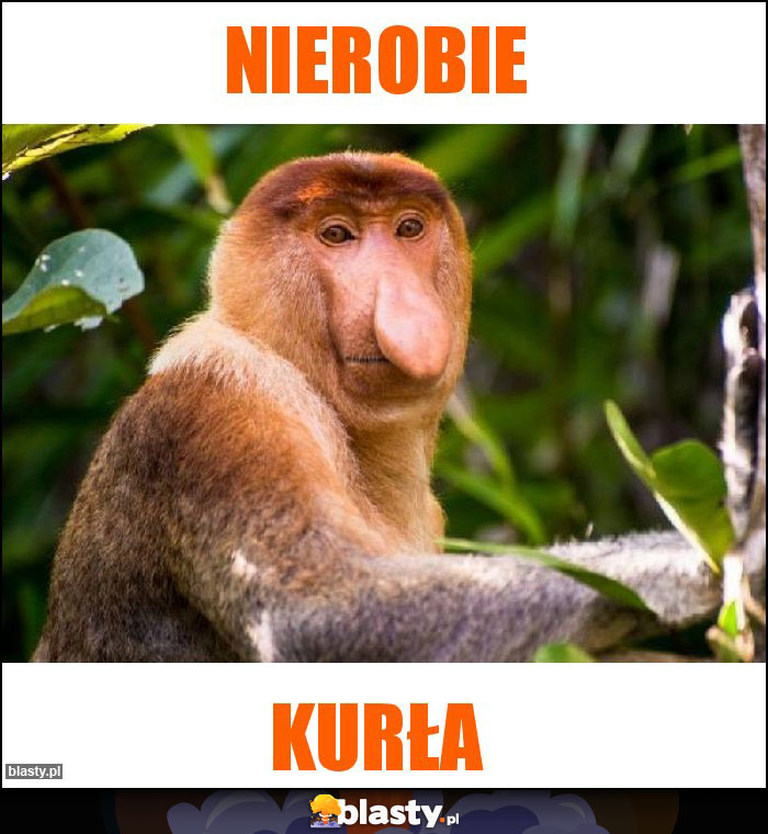 Nierobie