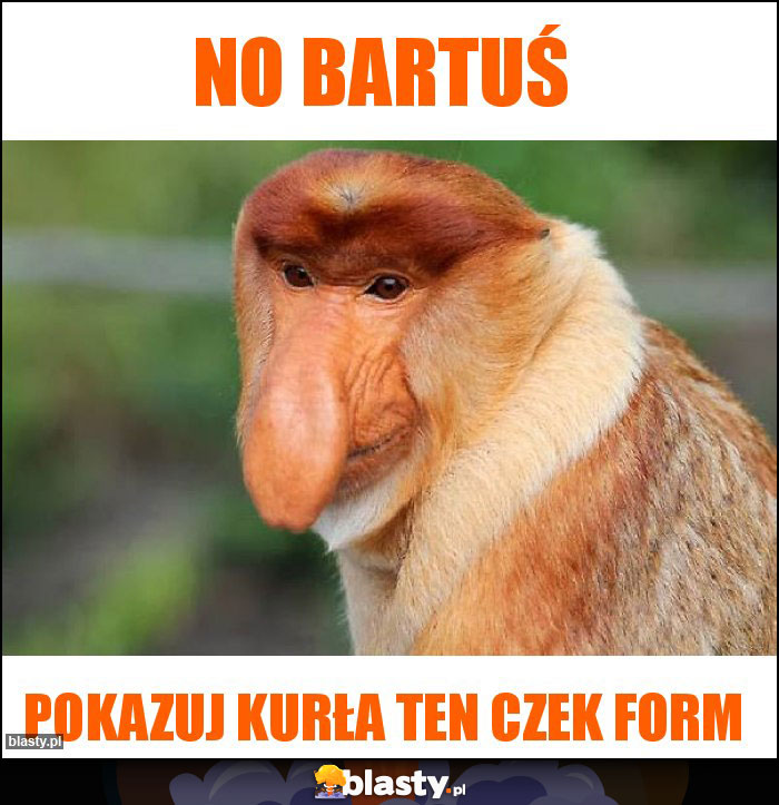 No Bartuś