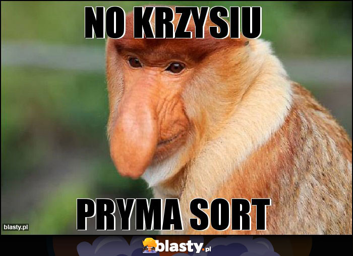 no krzysiu