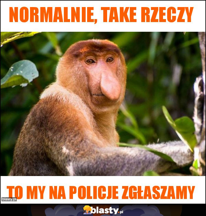 Normalnie, take rzeczy