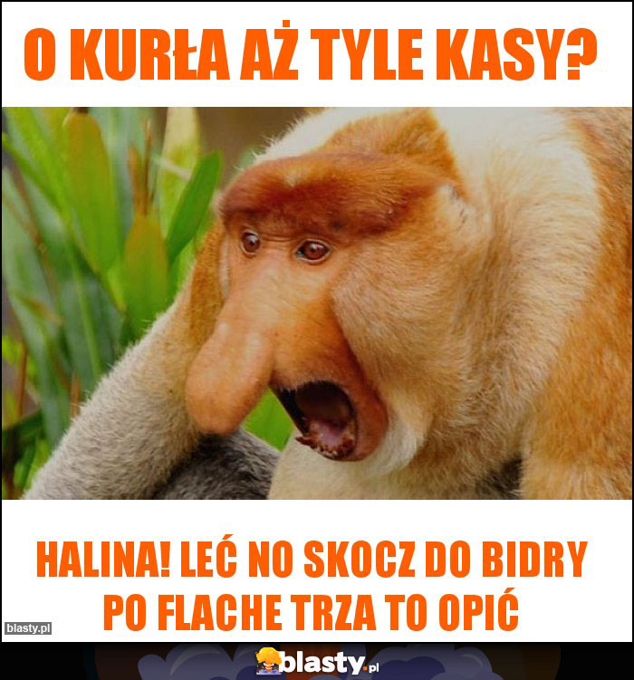 O Kurła aż tyle kasy?