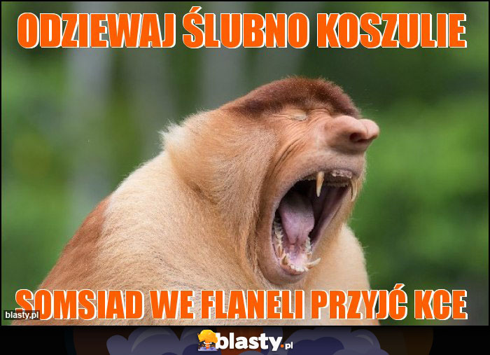 odziewaj ślubno koszulie