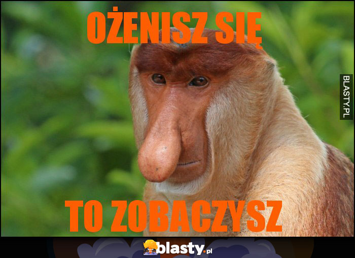 OŻENISZ SIĘ