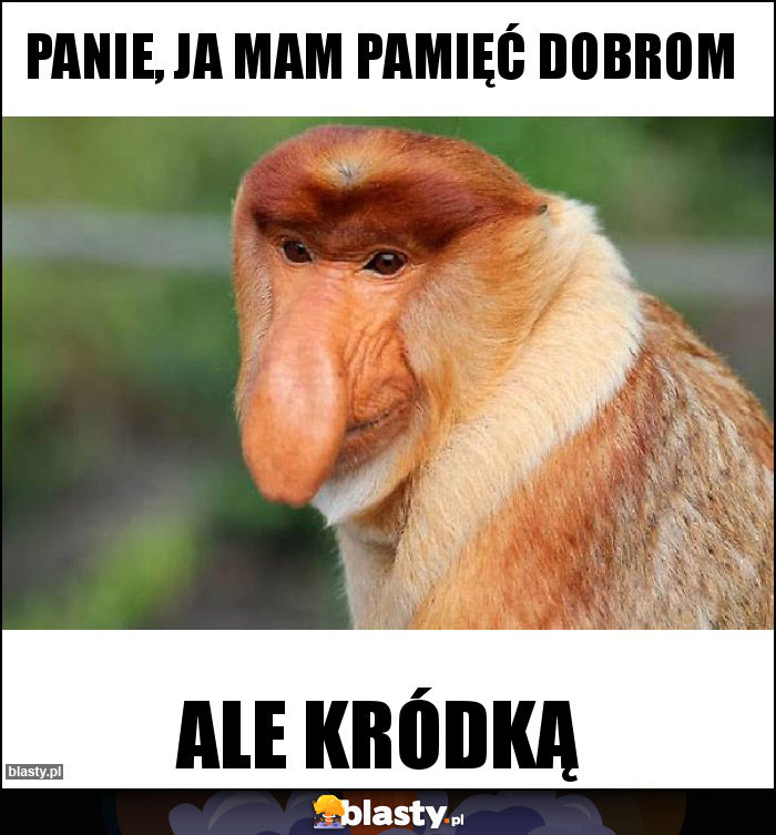 Panie, ja mam pamięć dobrom