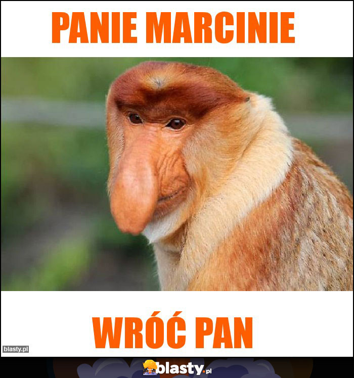 Panie Marcinie