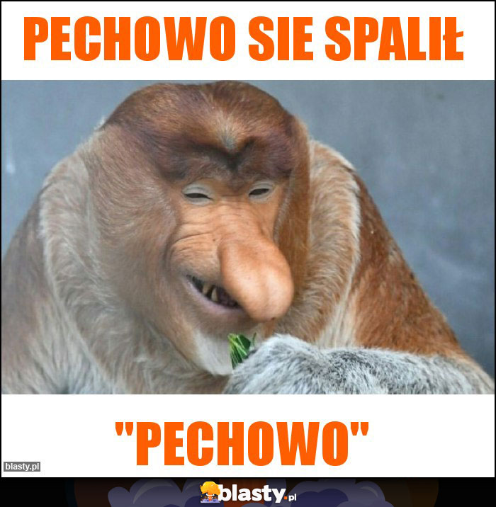 Pechowo sie spalił