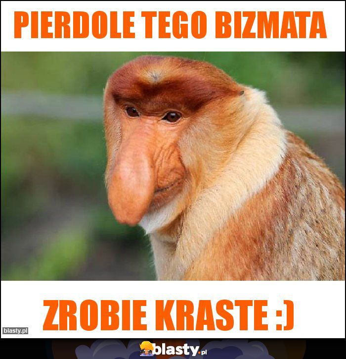 Pierdole tego bizmata