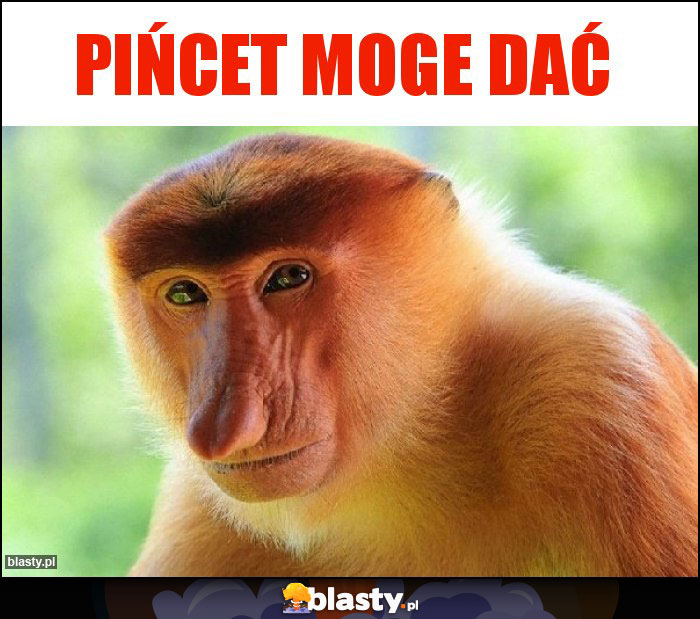 PIŃCET MOGE DAĆ