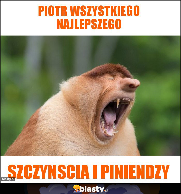 Piotr wszystkiego najlepszego