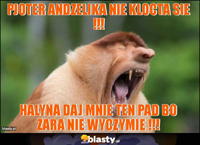 Pjoter andzelika nie klocta sie !!!