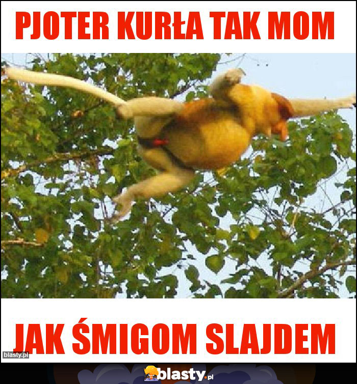 Pjoter kurła tak mom