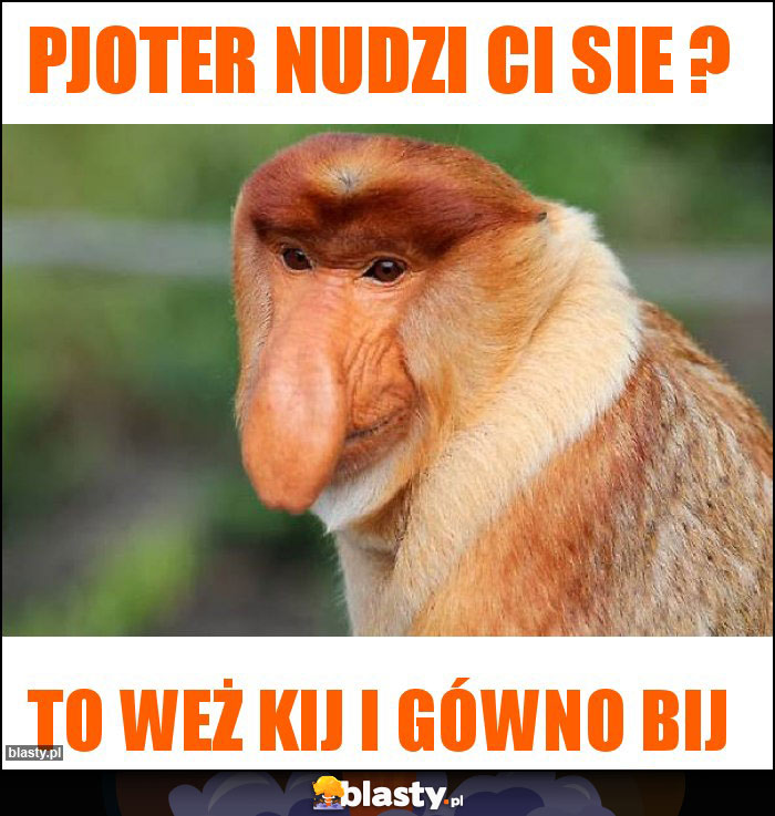 PJOTER NUDZI CI SIE ?