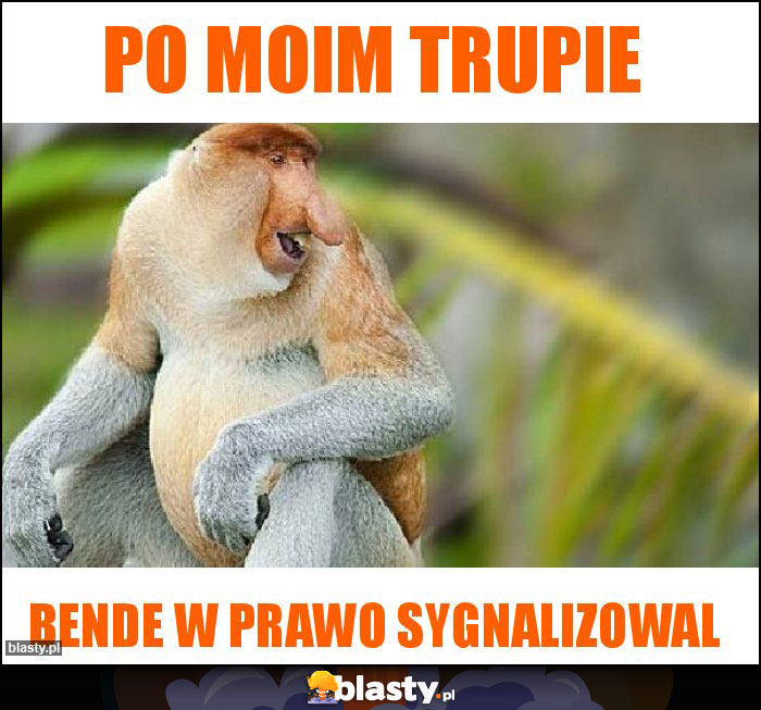 po moim trupie