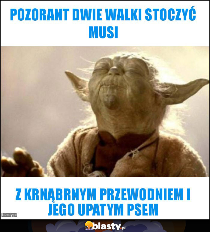 Pozorant dwie walki stoczyć musi