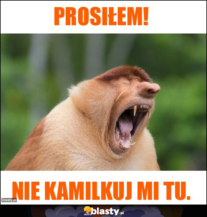 Prosiłem!