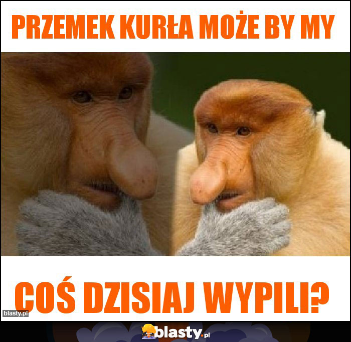 Przemek kurła może by my