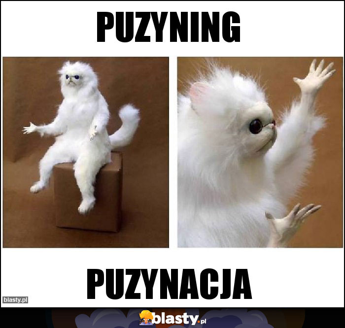 Puzyning