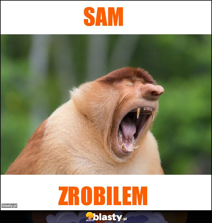 Sam