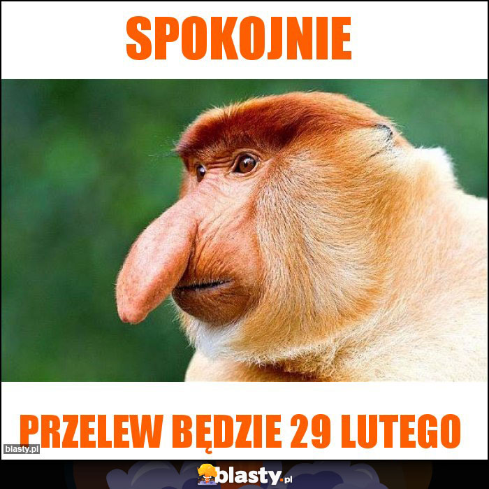 Spokojnie