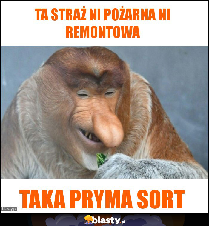 Ta straż ni pożarna ni remontowa