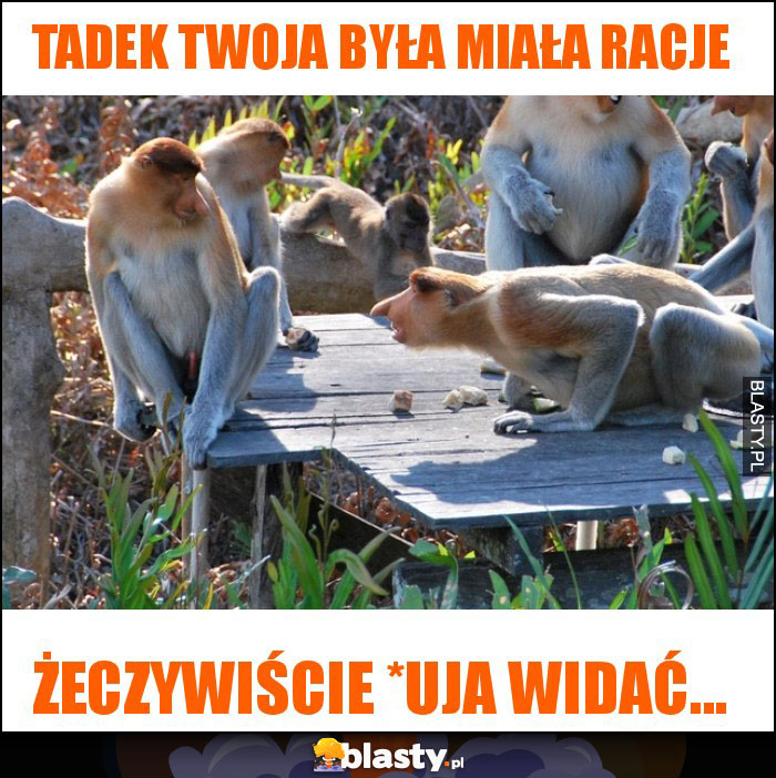 tadek twoja była miała racje