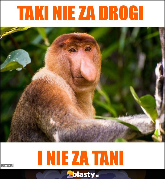 Taki nie za drogi