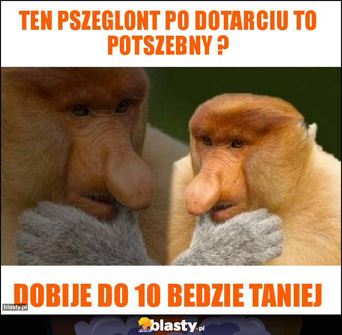 Ten pszeglont po dotarciu to potszebny ?