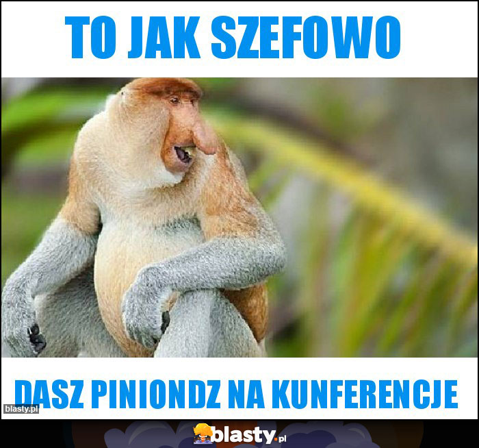 To jak szefowo