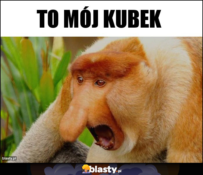 to mój kubek