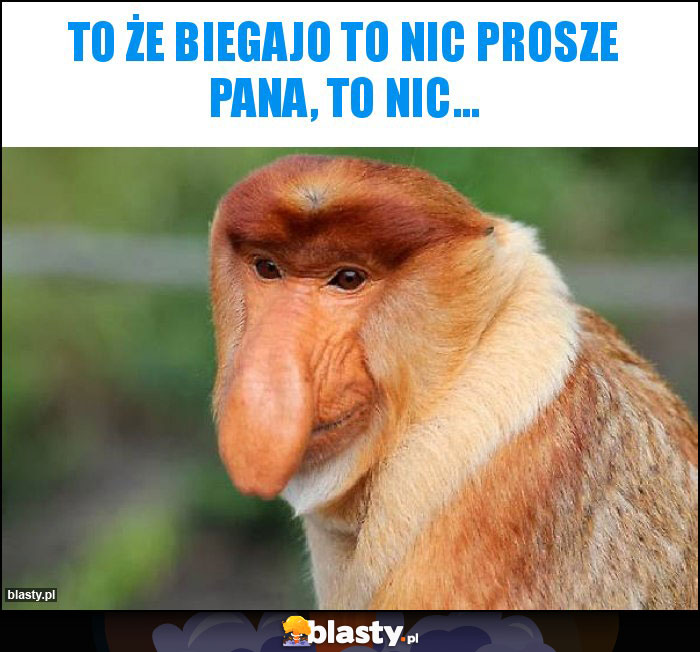 To że biegajo to nic prosze pana, to nic...