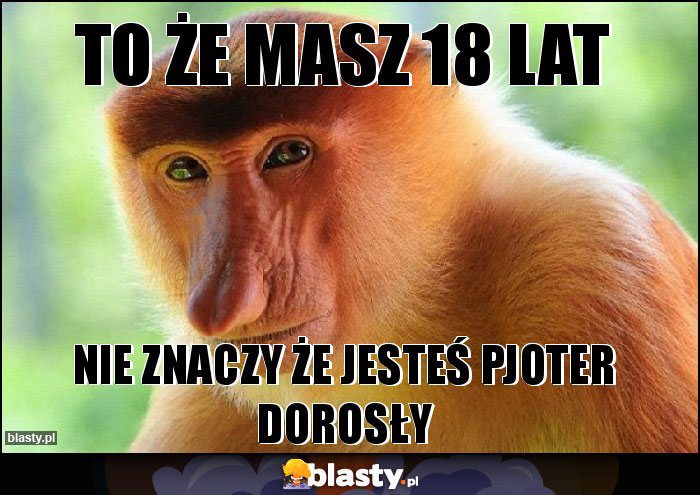 TO ŻE MASZ 18 LAT