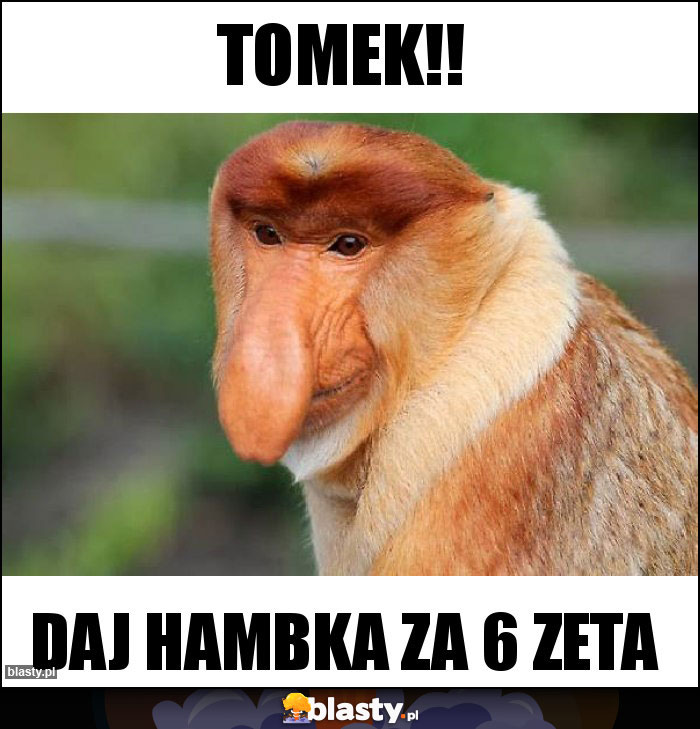 Tomek!!