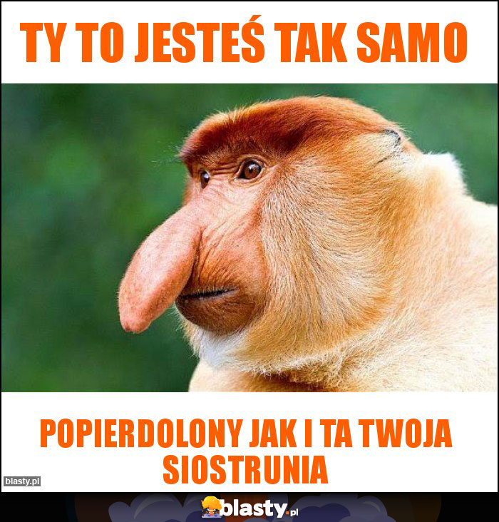 Ty to jesteś tak samo