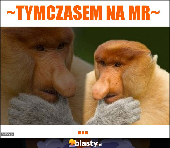 ~TYMCZASEM NA MR~