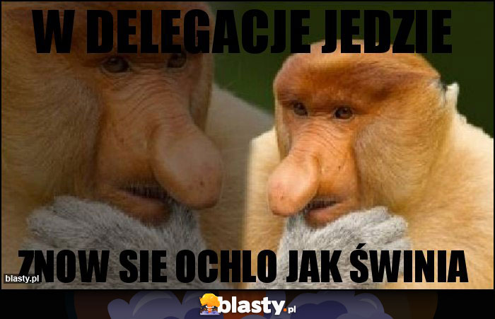 W delegacje jedzie