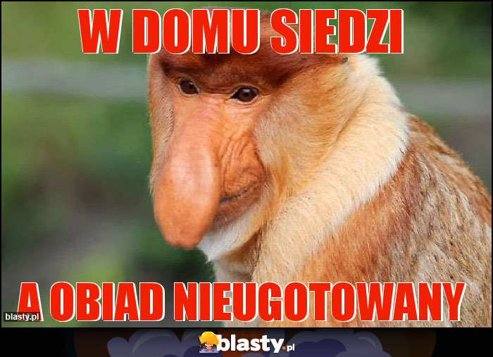 W DOMu siedzi