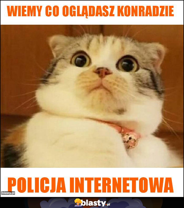 Wiemy co oglądasz konradzie