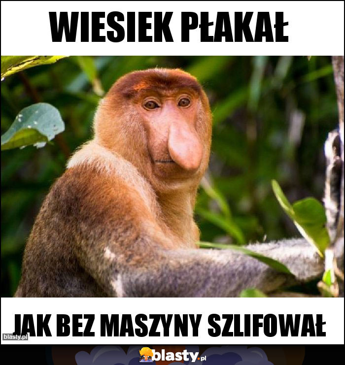 Wiesiek płakał