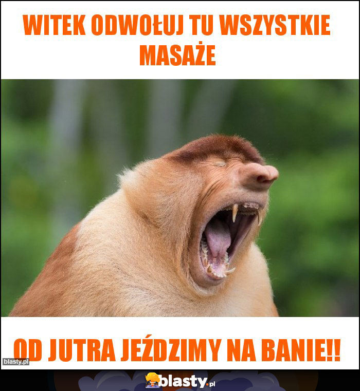 WITEK ODWOŁUJ TU WSZYSTKIE MASAŻE