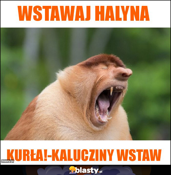 Wstawaj Halyna