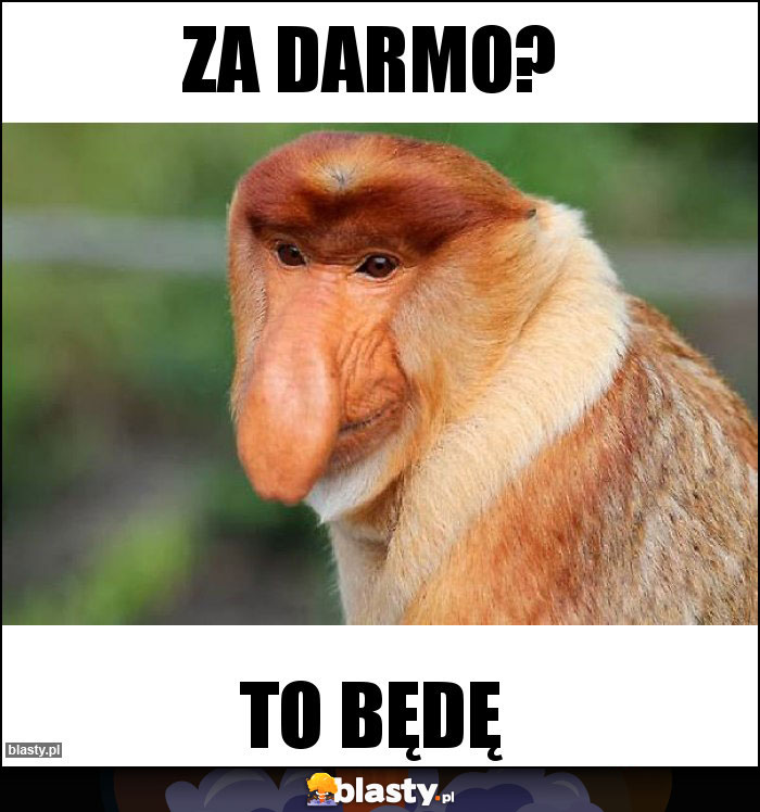 Za darmo?