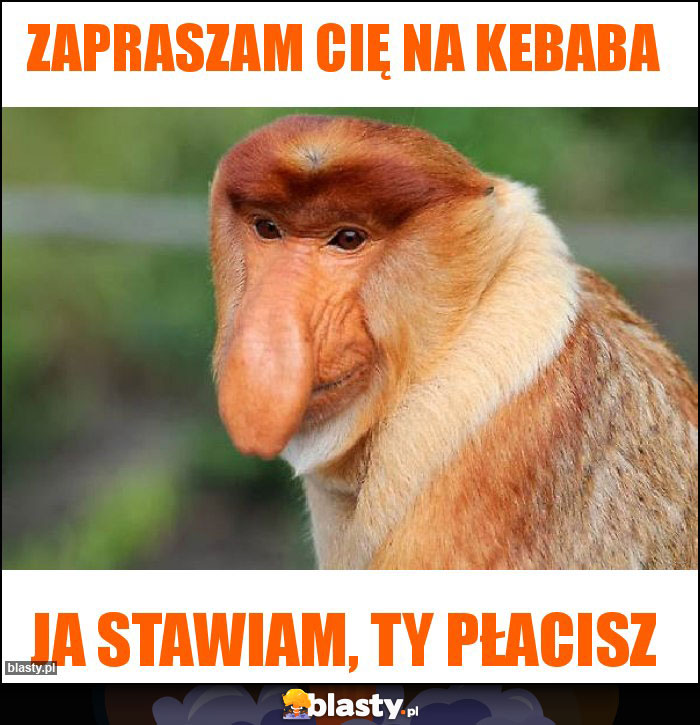 Zapraszam Cię na kebaba