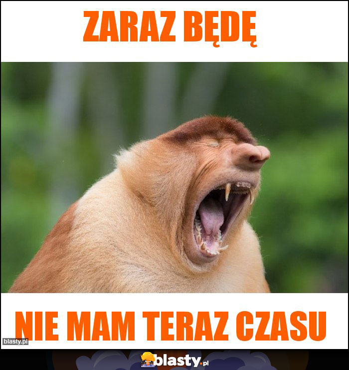 ZARAZ BĘDĘ