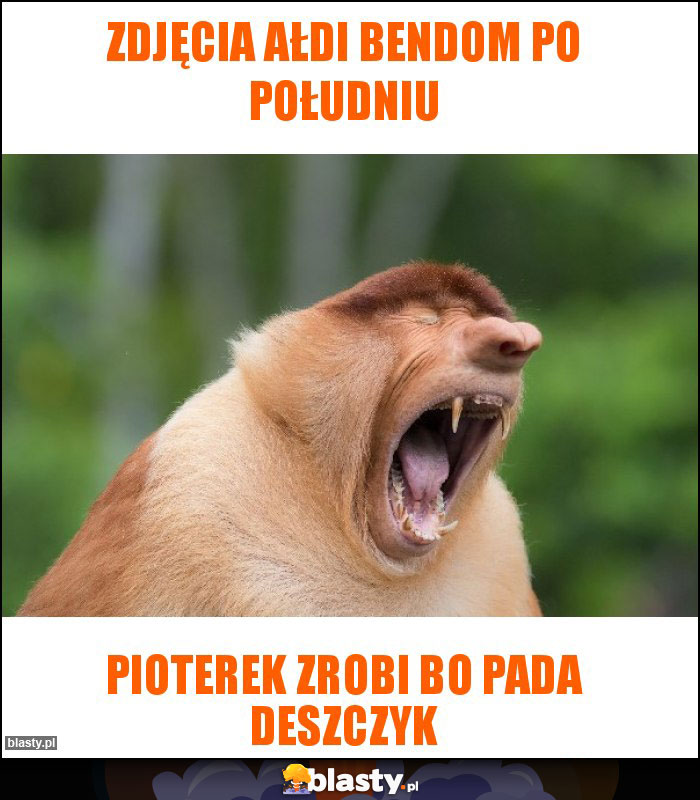 Zdjęcia Ałdi bendom po południu