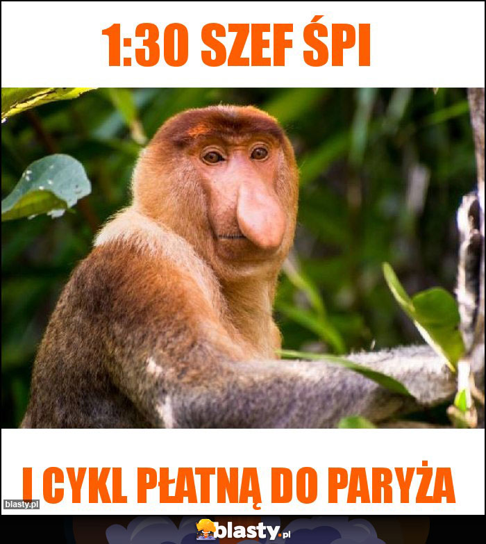 1:30 szef śpi