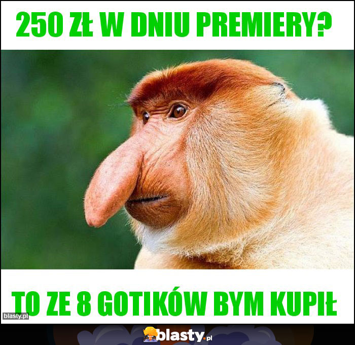 250 zł w dniu premiery?