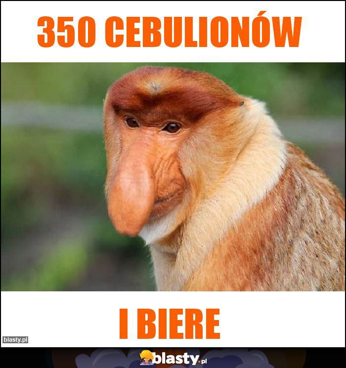 350 cebulionów