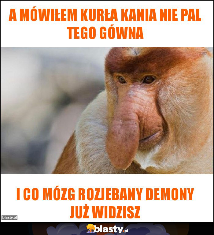 a mówiłem kurła kania nie pal tego gówna