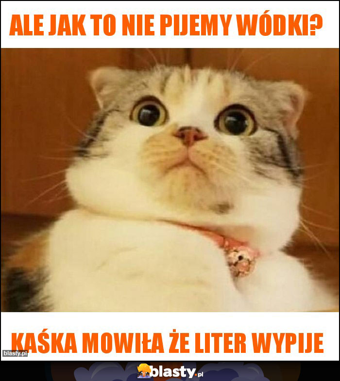 Ale jak to nie pijemy wódki?