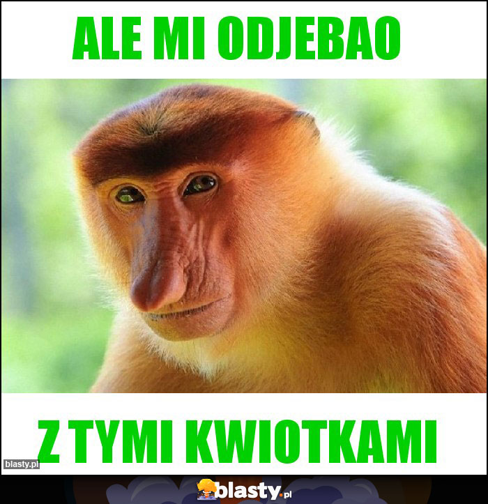 Ale mi odjebao